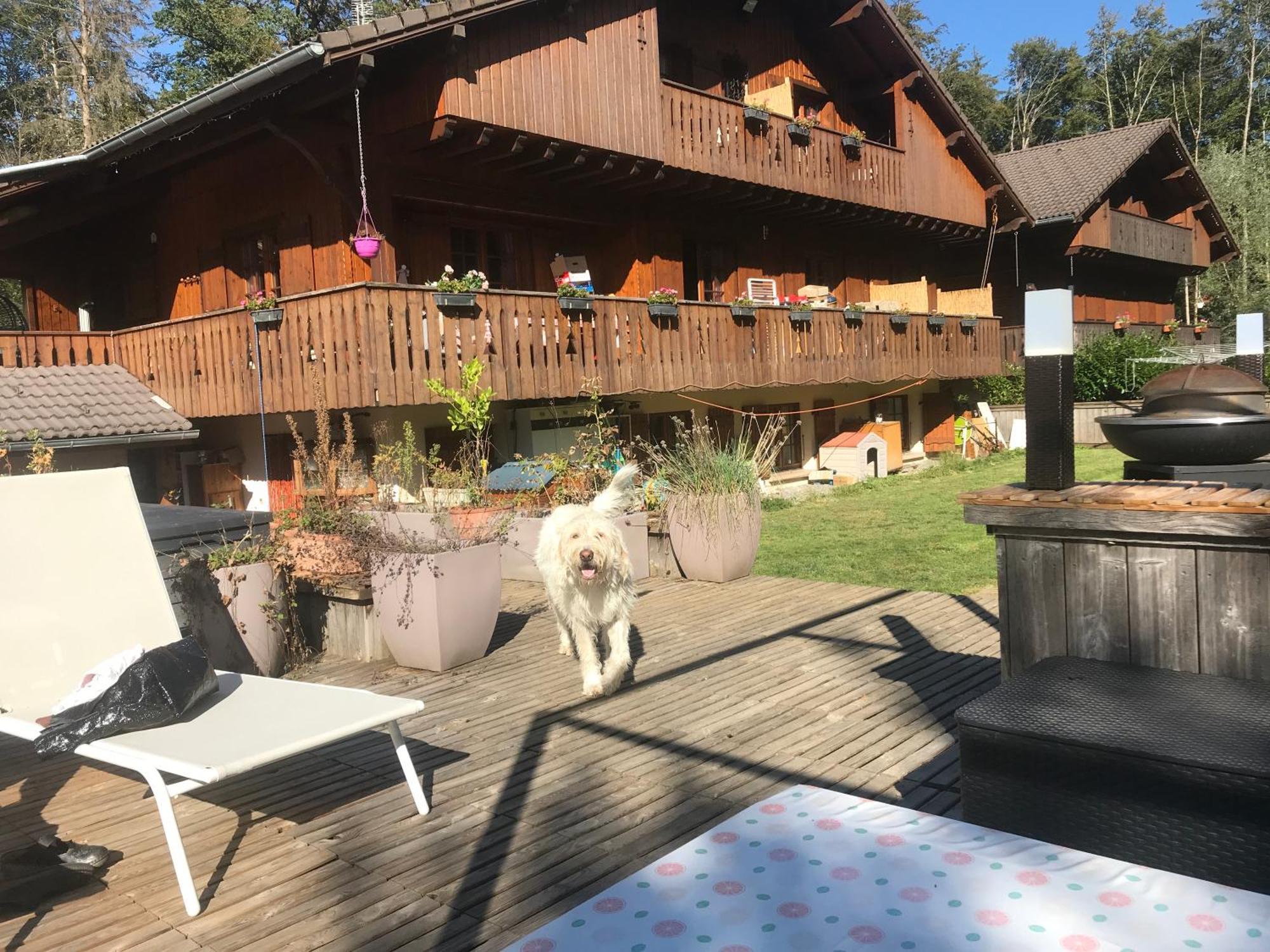 Chalet Esprit Morillon Exterior photo